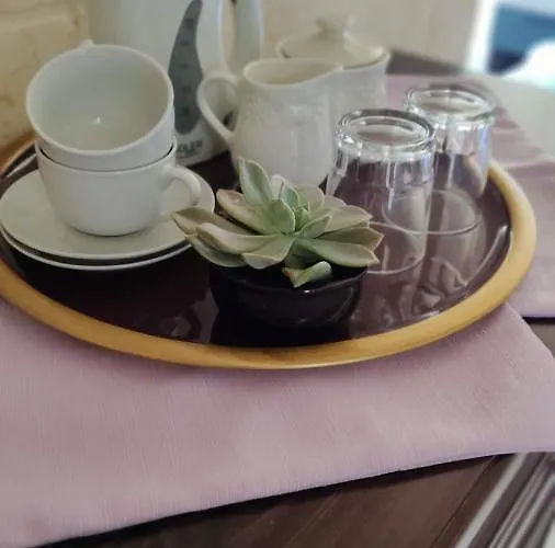 게스트하우스 Warda 쇼키아